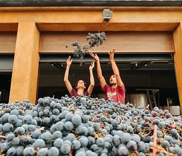 Producer Visit: Anna Galofre of Valldolina