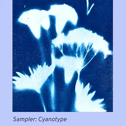 Sampler Session: Cyanotype