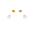 Mac Tabby Cat Cafe - Concord