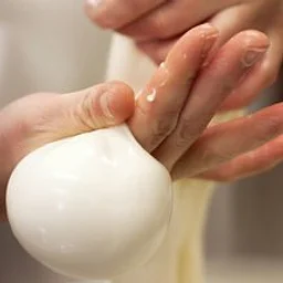 Mozzarella from Scratch