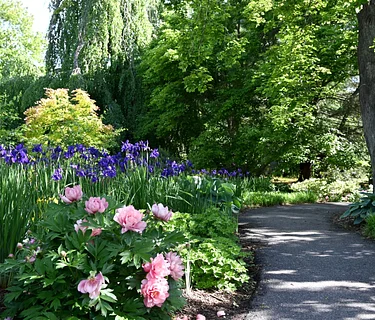 Evenings at the Arboretum – Field Walks at the Farm