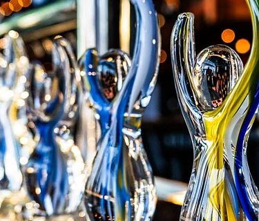 The 10th Anniversary Linny Awards