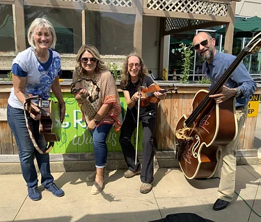 Acoustic Chicks Band