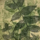 Botanical Prints on Gel Plate workshop