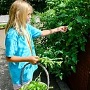 Summer Camp – Bee Smart, Eat Smart