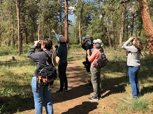 Master Naturalist Club