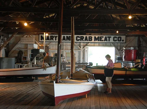 Guided Tour: Blue Crabs From Bay to Table