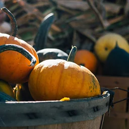 Thanksgiving Crafts Week