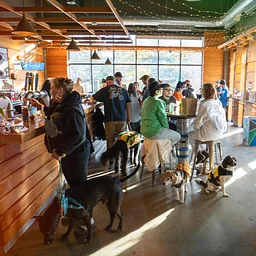 Pints & Pups in the Old Tap Room