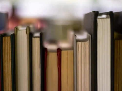 RMC Book Club: Emma Ito discusses “Mỹ Documents” by Kevin Nguyen