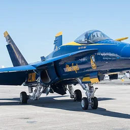 Special Blue Angels F/A-18 Super Hornet Experience – Featured Speaker – Requires Separate Ticket