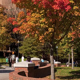 Trees and Shrubs for Fall Color & Winter Interest