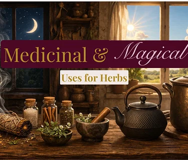 Medicinal & Magical Uses for Herbs