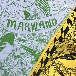 Introduction to Screenprinting on Fabric