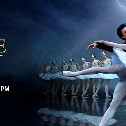Swan Lake