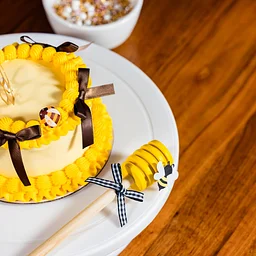 Sweet as Honey Cake Decorating Experience
