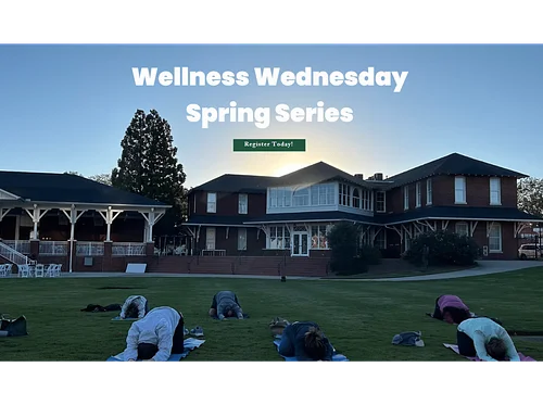 Wellness Wednesdays – Smithgall Arts Center