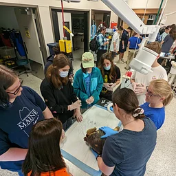 Zoo Careers 101: An Introduction to How Zoos Work