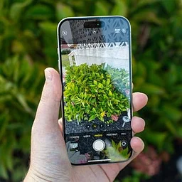 iPhone Photography, Part Two: Making The Image Your Own