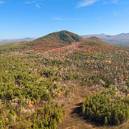 Explore Our Trails