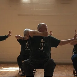 Therapeutic Tai Chi
