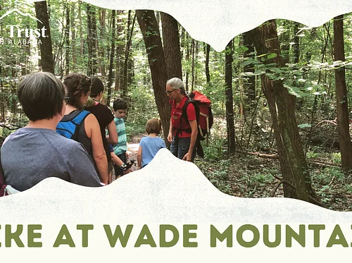 Hump Day Hike at Wade Mountain