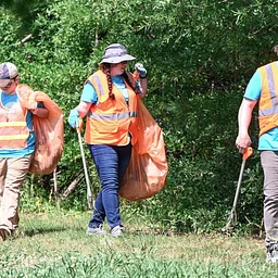 Creek Cleanup