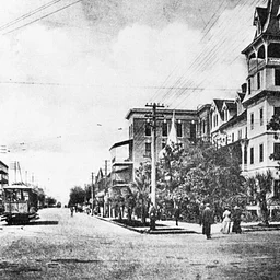 Historic Downtown St. Pete Trolley Tour