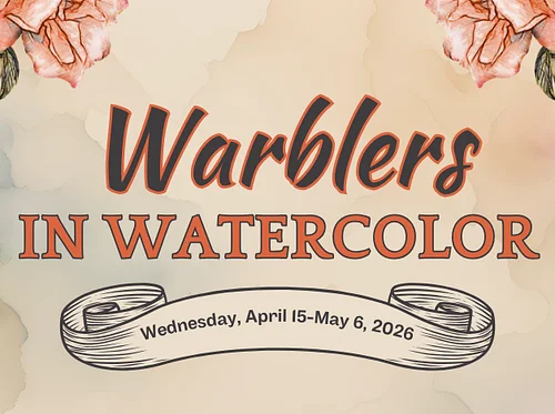 Warblers in Watercolor: Black-and-white Warbler