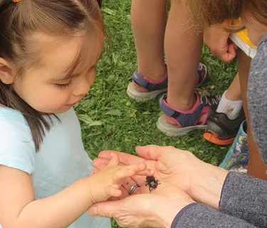 Bug-a-Palooza