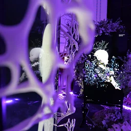 Exhibition Yoon Chung Han: Dreaming Babies: illi September 17 – October 19, 2026