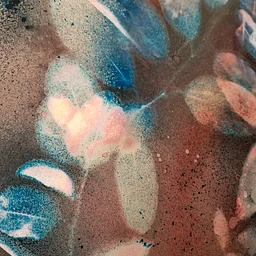 Chemigram Photographic Workshop with Rosalba Breazeale