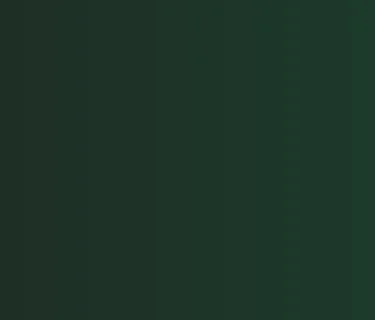 Doom Scroll, The Afterlife Party, Old Scratch & The Holy Mess