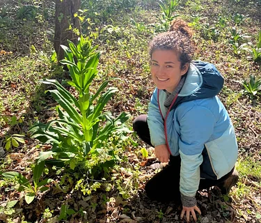 Roots & Remedies — The Art of Tincture Making with Lexy Vogel: June 8, 2026