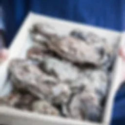 Oyster Farm Tour
