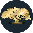 Abundant Wealth Strategies