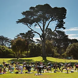 Midday Yoga in the Garden