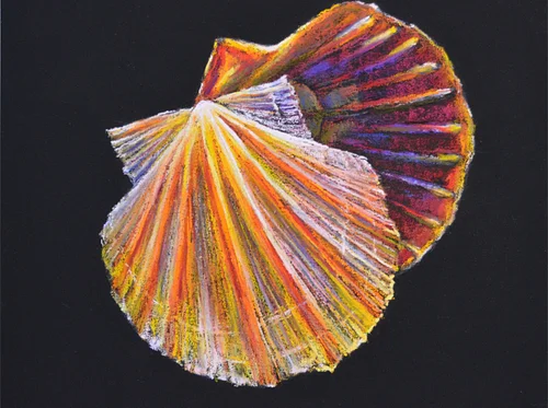 “Colorful Shells” Pastel Workshop with pastel artist Tetyana Aleksenko.