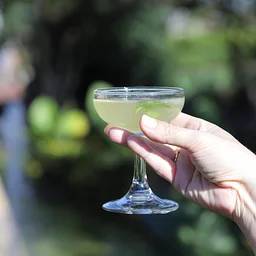 Cocktails in the Conservatory October
