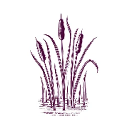 Vineyard Conservation Society