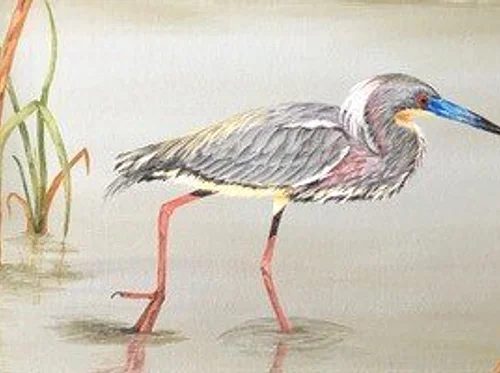 GEORGIA COASTAL ARTISTS GUILD