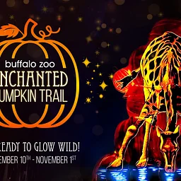 Enchanted Pumpkin Trail