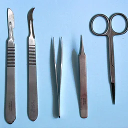 Dissection Event