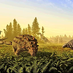 Everything Dinosaur (on the Rocks) Lecture #6: Ankylosaurs