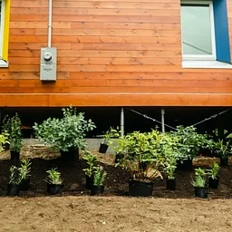 Intro to Permaculture and Ecological Design