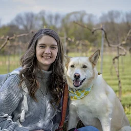 Family Pet Photos in the Vineyard