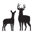 Whitetail Lodge