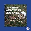 SABR Series: “The Baseball Doesn’t Fall Far from the Tree” with Bob Hurte