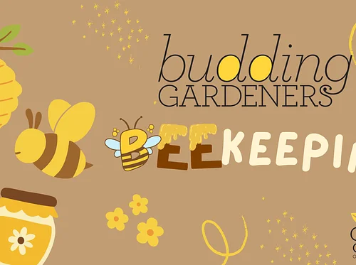 Budding Gardeners: Beekeeping