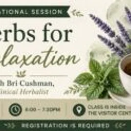 EDUCATIONAL SESSION: Herbs for Relaxation